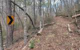 3256 Long Branch Road - Photo 58
