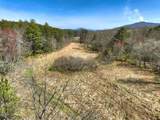 1489 Boy Scout Road - Photo 41
