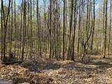 262 White Creek Loop - Photo 4