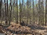 262 White Creek Loop - Photo 5