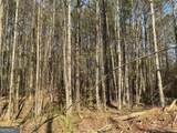 262 White Creek Loop - Photo 7