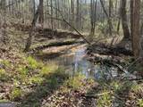 262 White Creek Loop - Photo 8