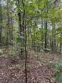 3834 Salacoa-Tract B - Photo 10
