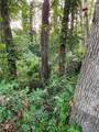 523 Spruce Drive - Photo 4