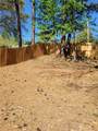 4017 Heritage Valley Court - Photo 10