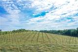 0 Strada Del Vino #10 - Photo 26