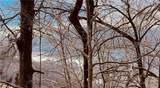 280 Big Stump Mountain Trail - Photo 13