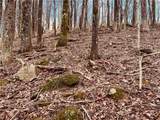 280 Big Stump Mountain Trail - Photo 14