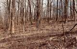 280 Big Stump Mountain Trail - Photo 15