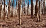 280 Big Stump Mountain Trail - Photo 17