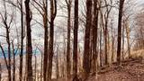 280 Big Stump Mountain Trail - Photo 2
