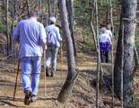 280 Big Stump Mountain Trail - Photo 25