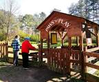 280 Big Stump Mountain Trail - Photo 26