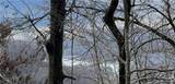 280 Big Stump Mountain Trail - Photo 6