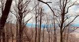 280 Big Stump Mountain Trail - Photo 9