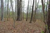5720 Winding Rose Trail - Photo 7