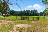 4990 Hill Road - Photo 3