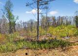 0 Twisted Oak Road - Photo 2
