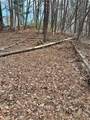 0 Log Swamp Dr. Drive - Photo 4