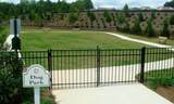 6247 Longleaf Drive - Photo 48
