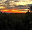 1172 Hunter Drive - Photo 6