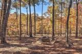 187 Hayden Way Drive - Photo 40