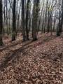 0 Brumby Run - Photo 11