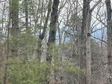 0 Brumby Run - Photo 3