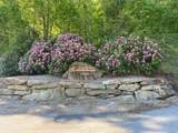 0 Yellow Trillium (Lot 13) - Photo 6