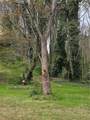 109 Creek Hollow Drive - Photo 11