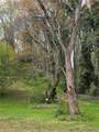 109 Creek Hollow Drive - Photo 13