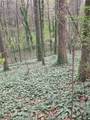 109 Creek Hollow Drive - Photo 5