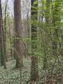 109 Creek Hollow Drive - Photo 7