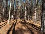 1107 Larmon Forks Road - Photo 4