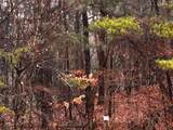 000 Talona Road - Photo 10