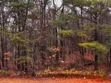 000 Talona Road - Photo 13