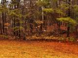 000 Talona Road - Photo 14