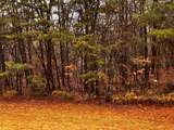 000 Talona Road - Photo 15