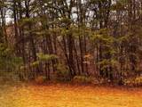 000 Talona Road - Photo 16