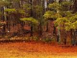 000 Talona Road - Photo 18