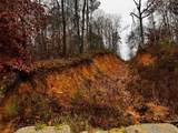 000 Talona Road - Photo 2