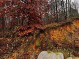 000 Talona Road - Photo 3