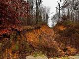 000 Talona Road - Photo 5