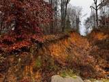 000 Talona Road - Photo 6