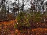 000 Talona Road - Photo 8