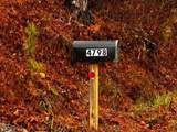 000 Talona Road - Photo 9