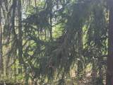 00 Yancey Road - Photo 4