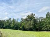 144 Daniel Ridge - Photo 2