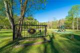 253 Zenith Trail - Photo 33