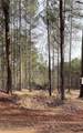 LOT 4 Jaxon Path - Photo 1